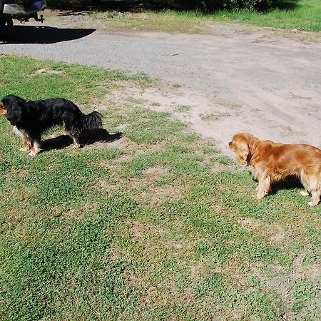 Bluegum Ridge Cottages Merrijig Esterno foto