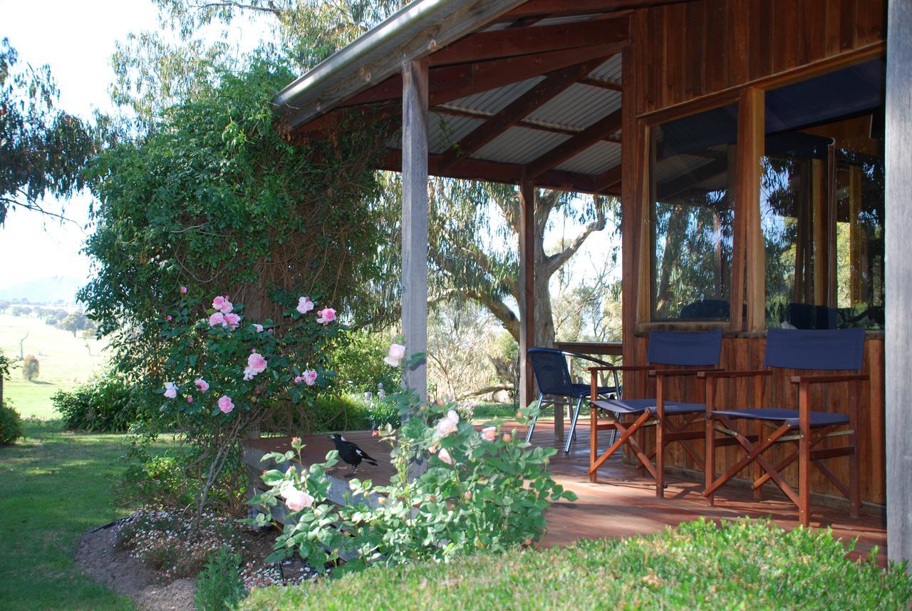 Bluegum Ridge Cottages Merrijig Esterno foto