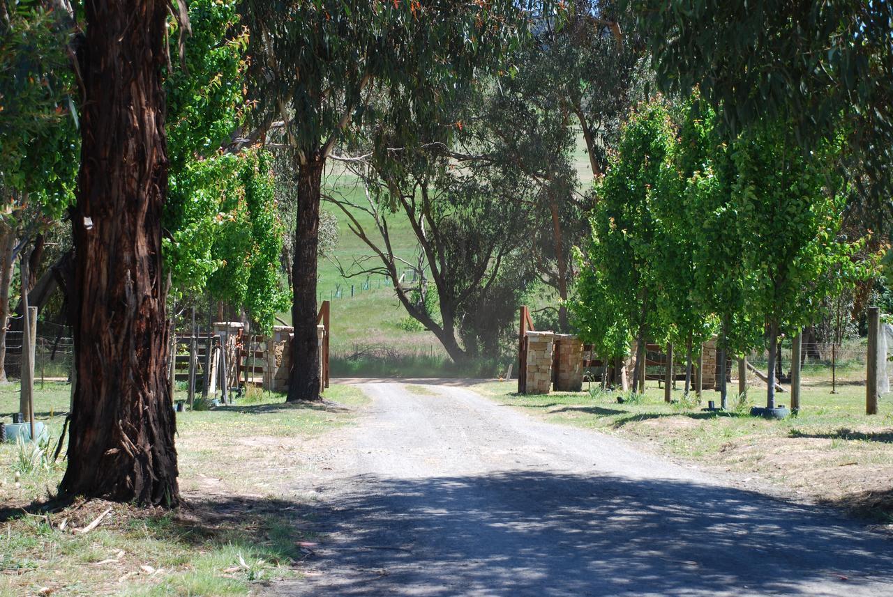 Bluegum Ridge Cottages Merrijig Esterno foto