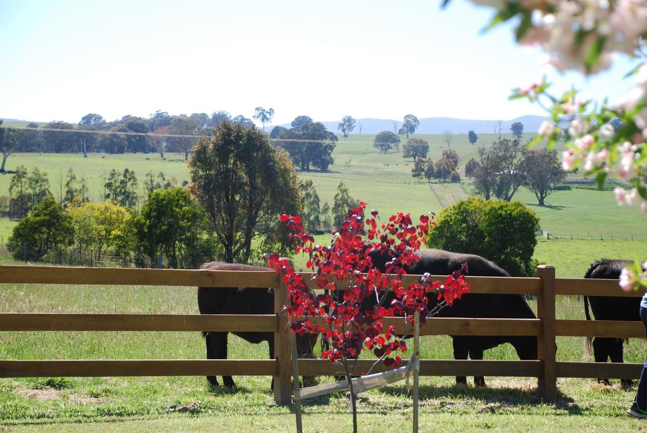 Bluegum Ridge Cottages Merrijig Esterno foto