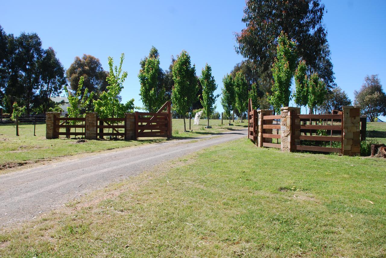 Bluegum Ridge Cottages Merrijig Esterno foto