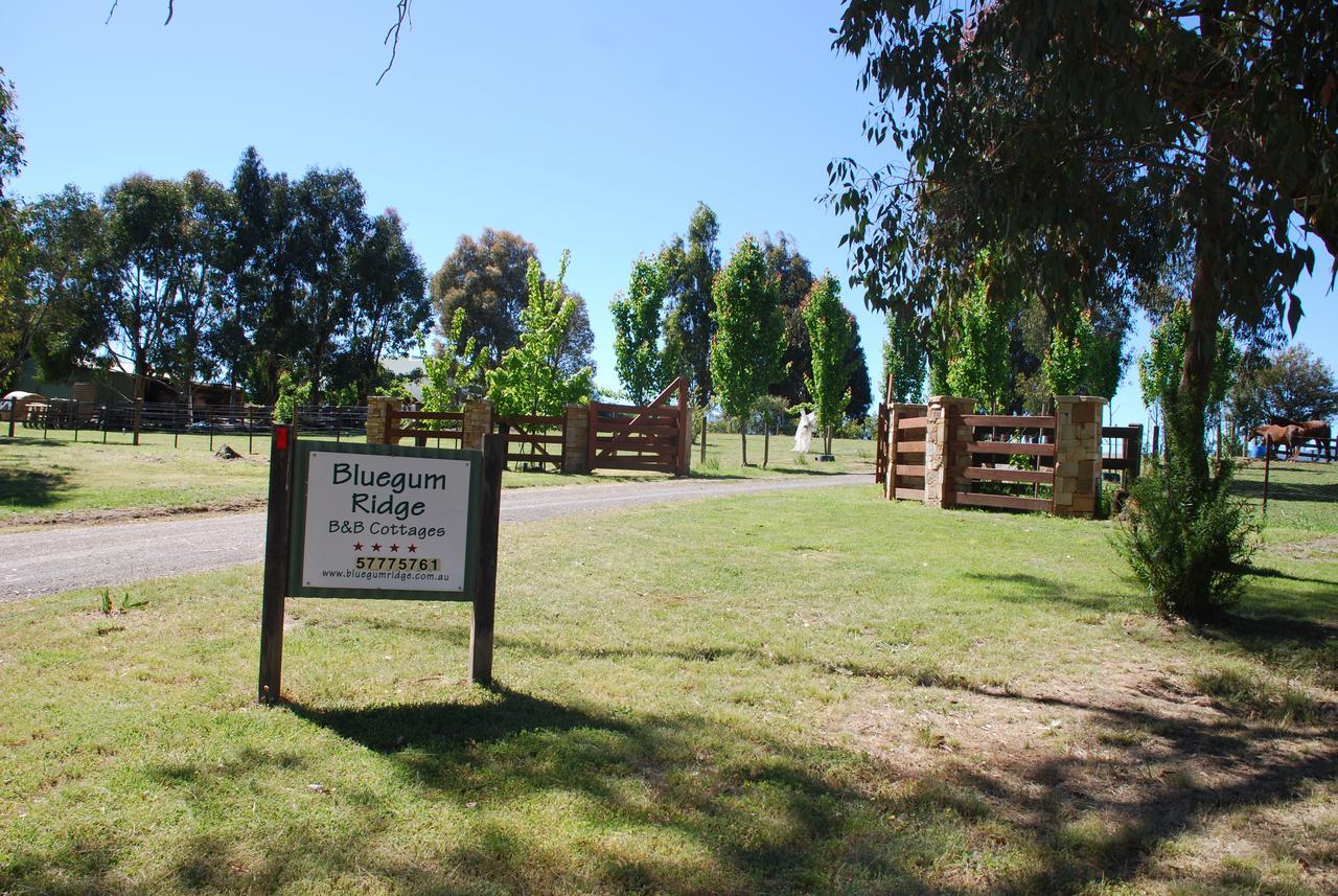 Bluegum Ridge Cottages Merrijig Esterno foto