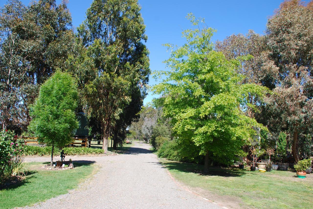 Bluegum Ridge Cottages Merrijig Esterno foto