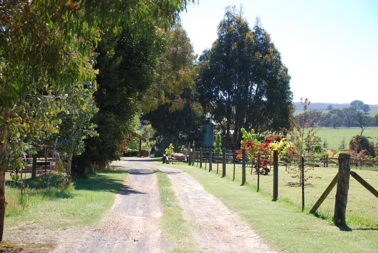 Bluegum Ridge Cottages Merrijig Esterno foto