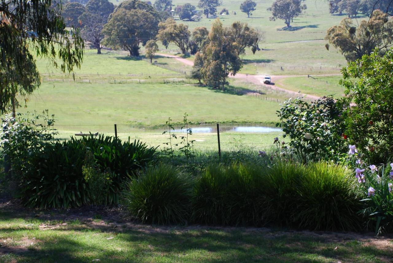 Bluegum Ridge Cottages Merrijig Camera foto